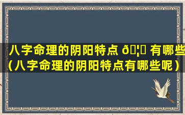 八字命理的阴阳特点 🦍 有哪些（八字命理的阴阳特点有哪些呢）